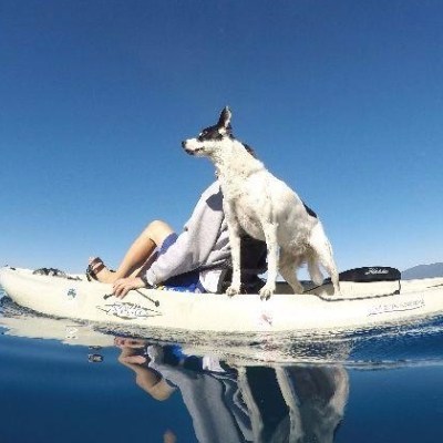 man and dog on kayak